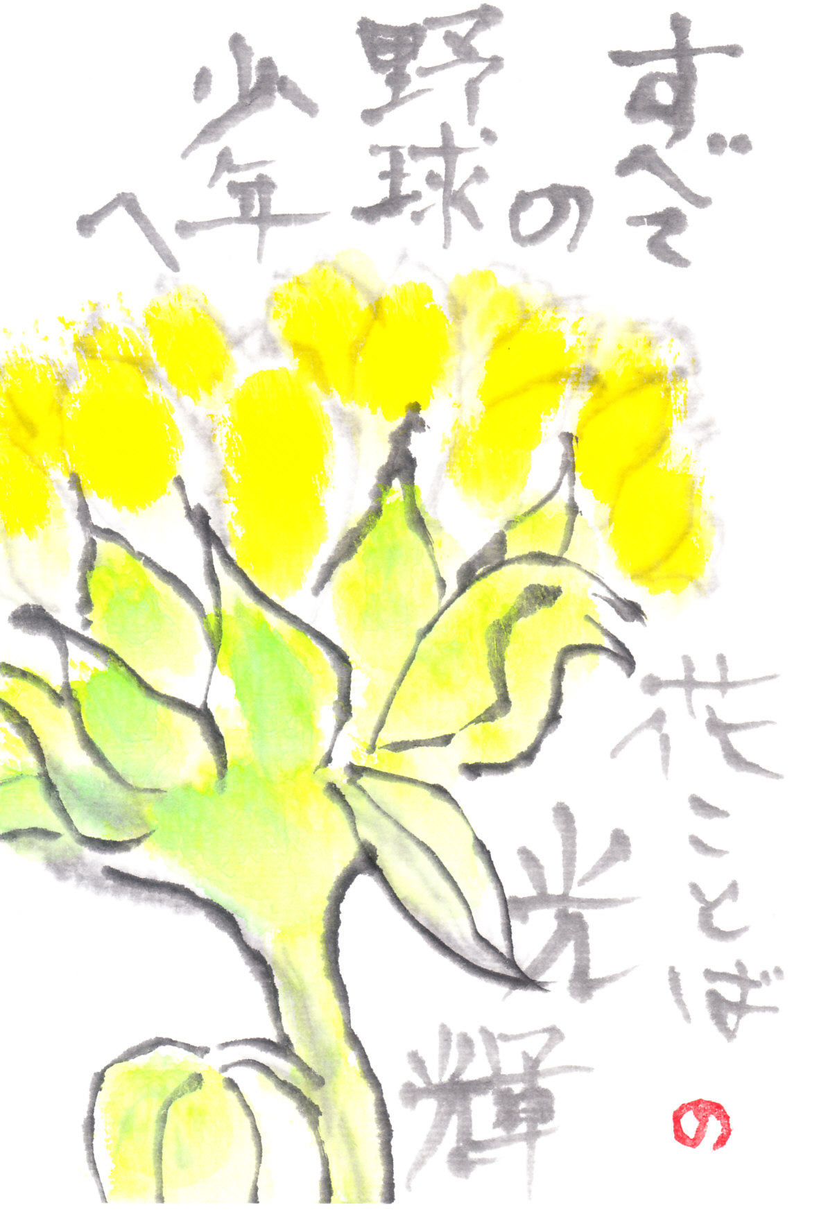 向日葵の花言葉 かすみ草の絵手紙日記